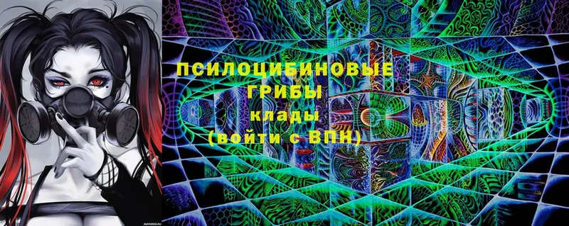 Псилоцибиновые грибы мухоморы  ОМГ ОМГ вход  Богучар  магазин продажи  